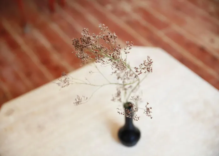 Appartamento Studio Microchole *